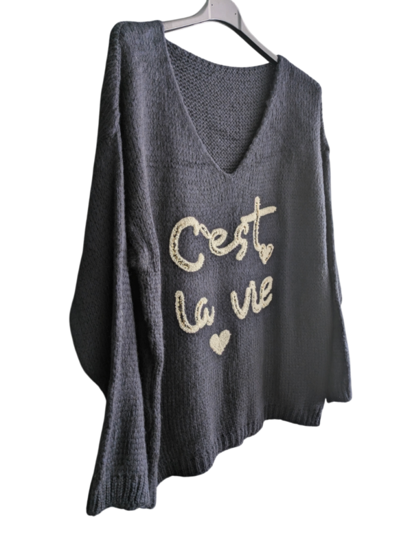 Pull bleu marine "C'est la vie"
